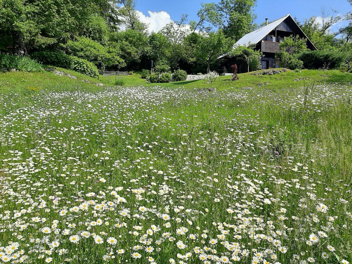 Pocitniska Hisa Eros Villa Bohinj Exterior photo